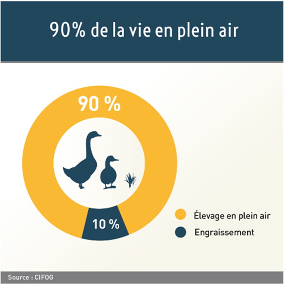 infographie_oct2021